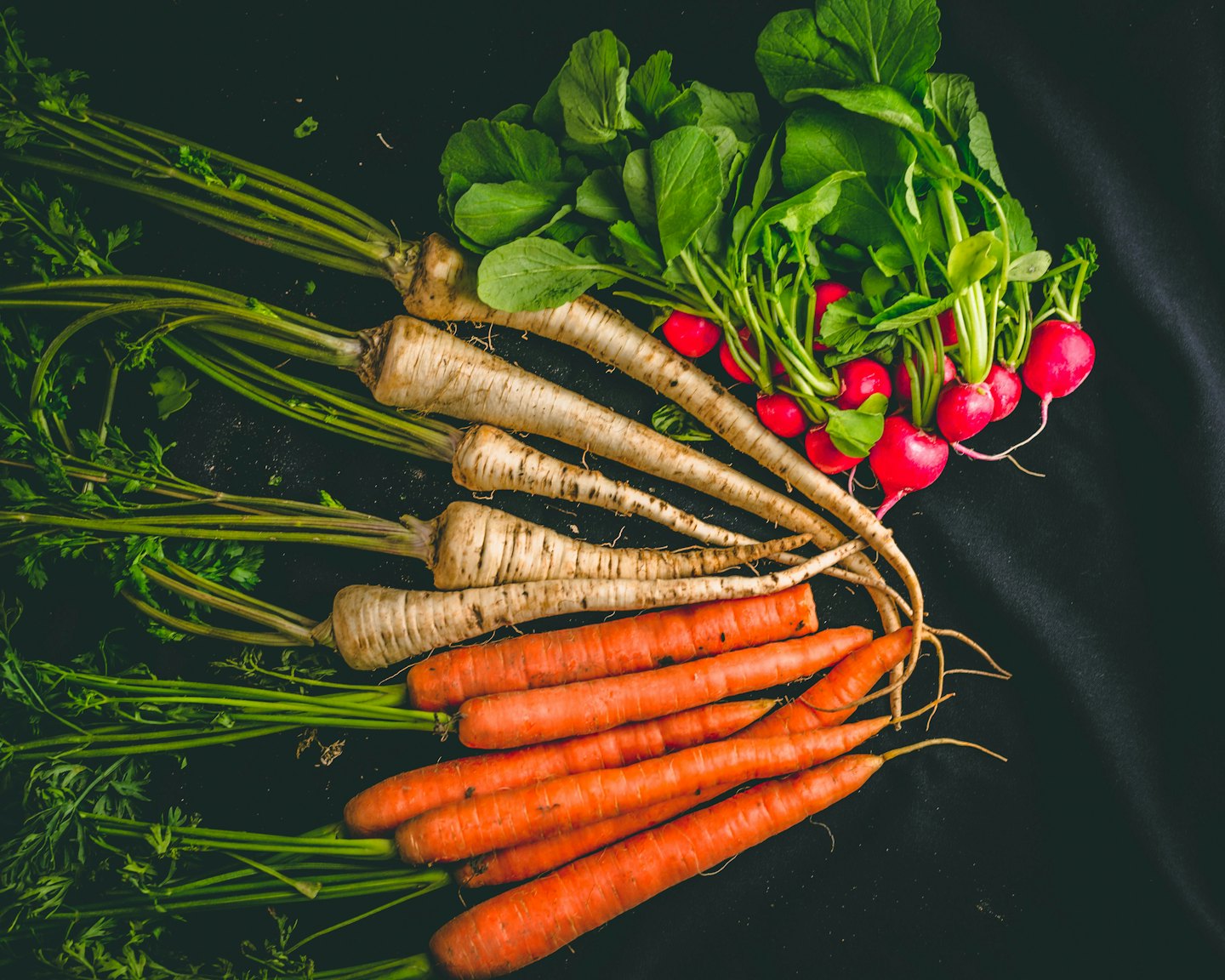 Freshly harvested root vegetables arranged on a dark surface.