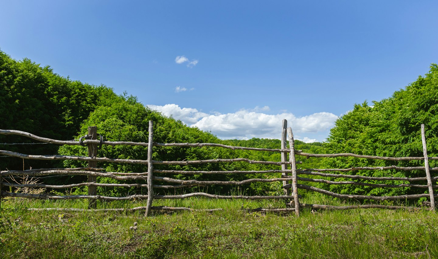A rustic split-rail fence runs across a grassy field.