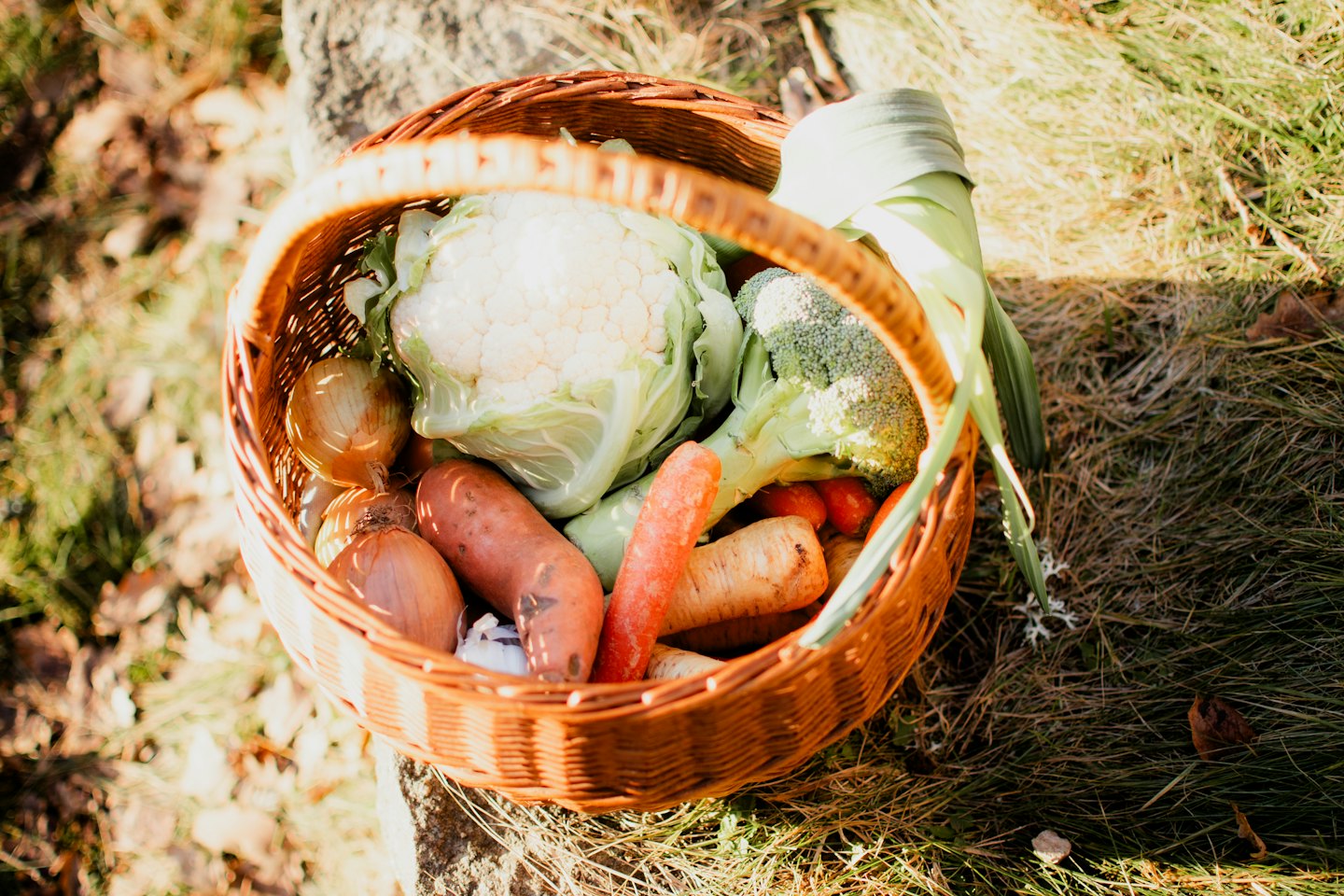 Wicker basket brimming with fresh, raw vegetables on green grass.